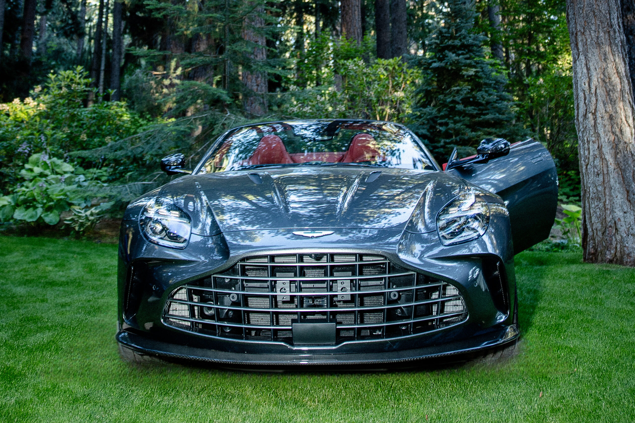 Aston Martin at Lake Tahoe event